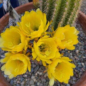 Meet your Posher, Jimandterry